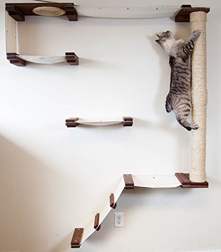 Wall Mounted Cat Shelving Your Cat Will Adore - Pawsify