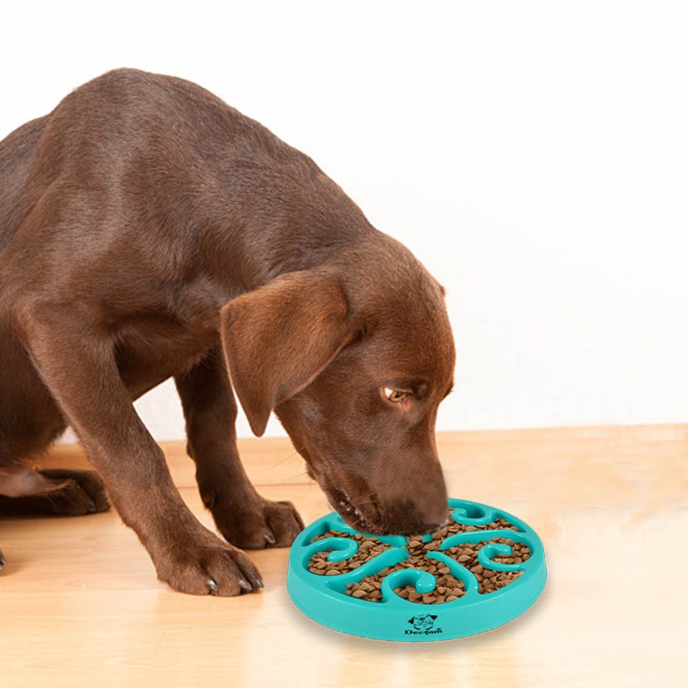 Dog Bowls To Stop Fast Eating Wholesale Clearance, 40% OFF 