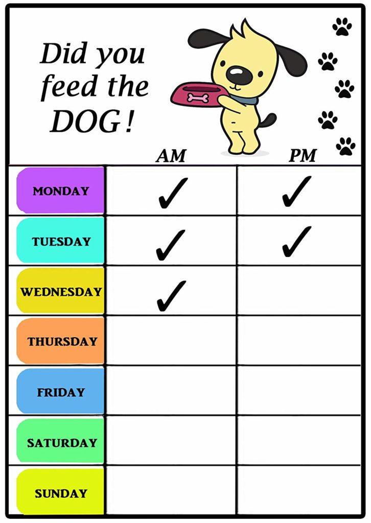 Did You Feed The Dog? A Magnetic Whiteboard Reminder - Pawsify