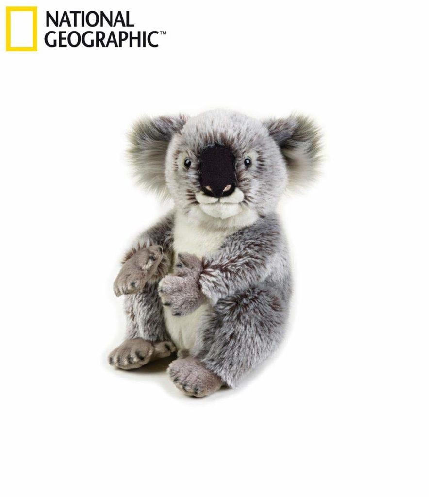 Koalas Gifts For Koala Lovers, Birthday Gift For Best Friend Sister, Koala  Accessories, Animal Lovers Makeup Bag Zipper Purse, Who Loves Koalas Makeup  Bag - Temu New Zealand