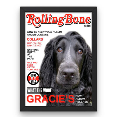 Dog Magazine Covers
