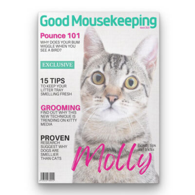 Cat Magazine Covers